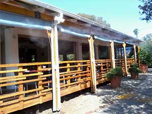 Roller Blinds Toni Pizza